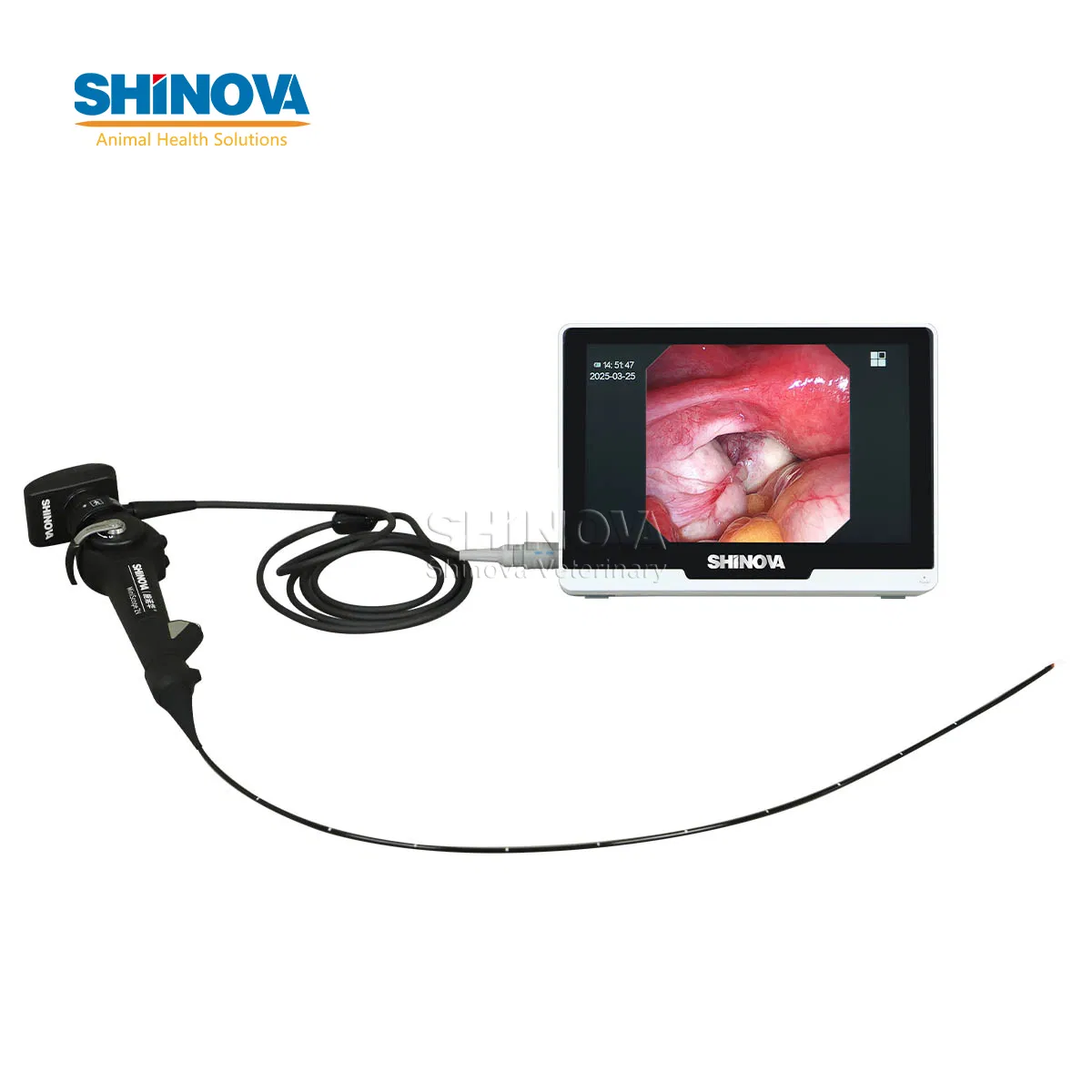 Medical Veterinary Instrument Vet Endoscopy System Video Endoscope for Animals Miniscope 2V