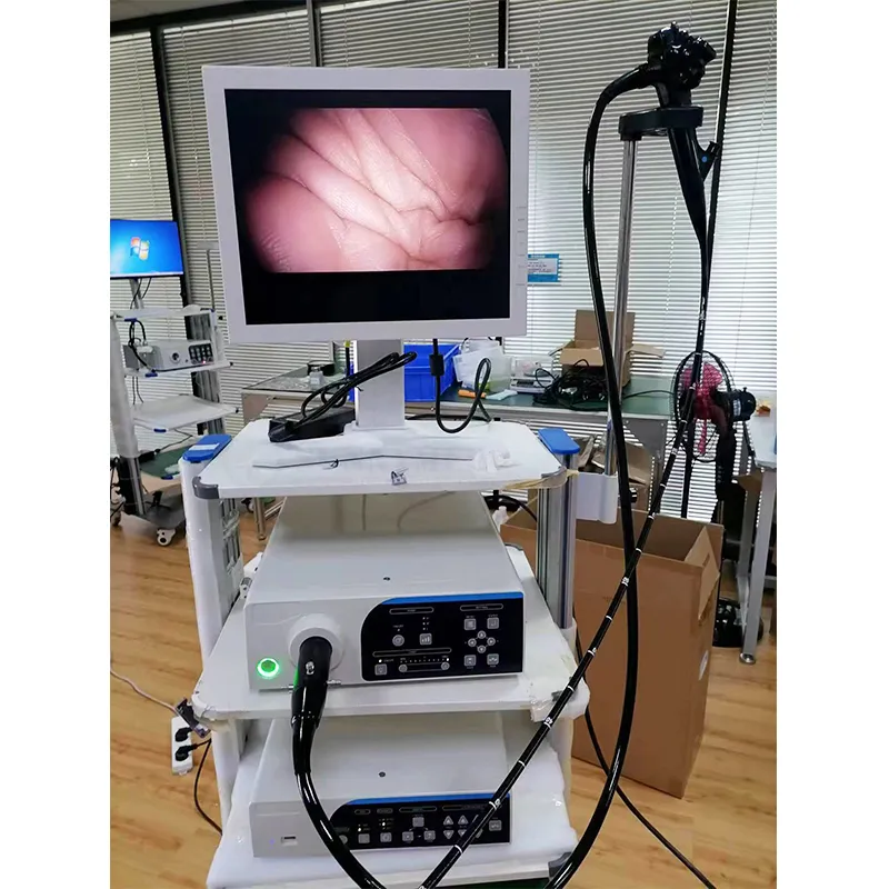 Endoscopy Camera System