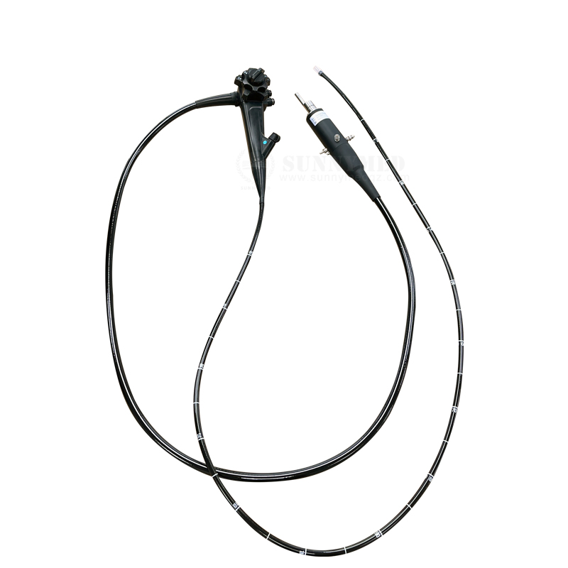 Sy-P033-1video Flexible Gastrointestinal Endoscopy Veterinary Video Gastroscopy with Processor