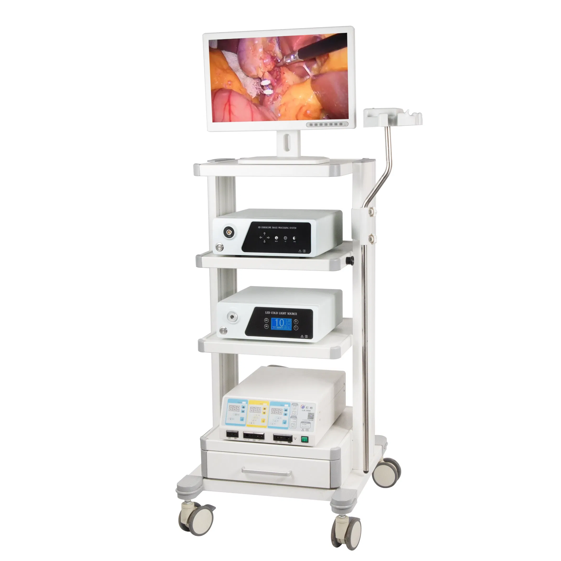 Diagnostic Spine Video Endoscope Endoscopy Instrument Imaging System for Surgery Examination