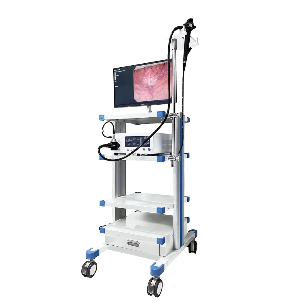 Endoscopy Equipment 2
