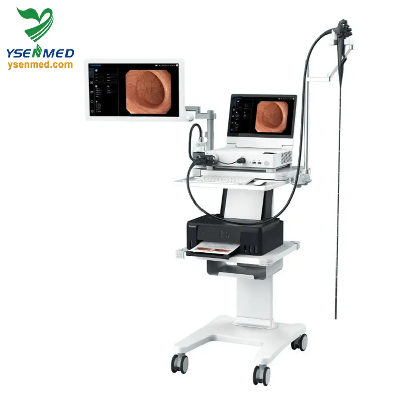 Video Gastroscope System