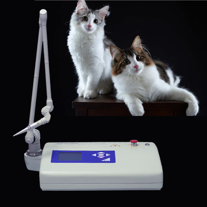 Portable Venterinary Surgical CO2 Laser Device