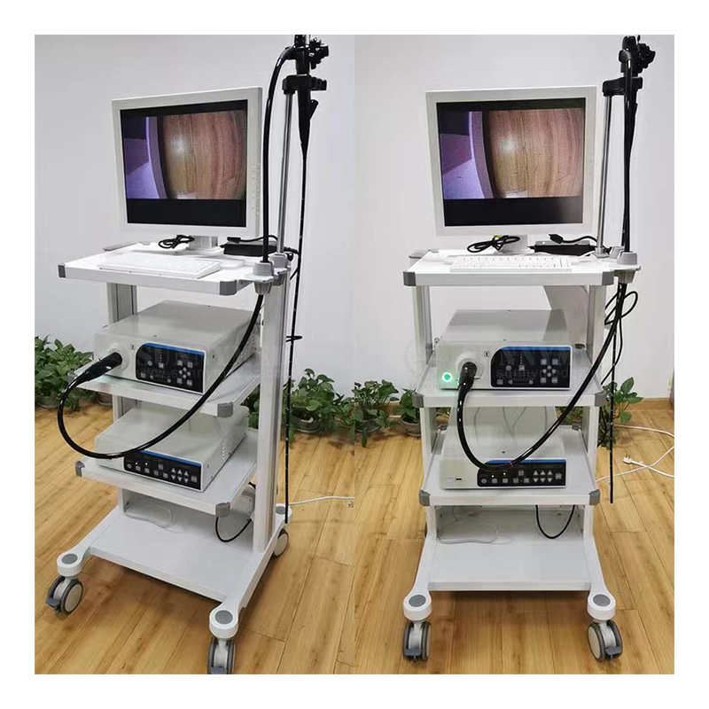 Cheap Price Endoscopy Camera System Colonoscope System Video Gastroscope System