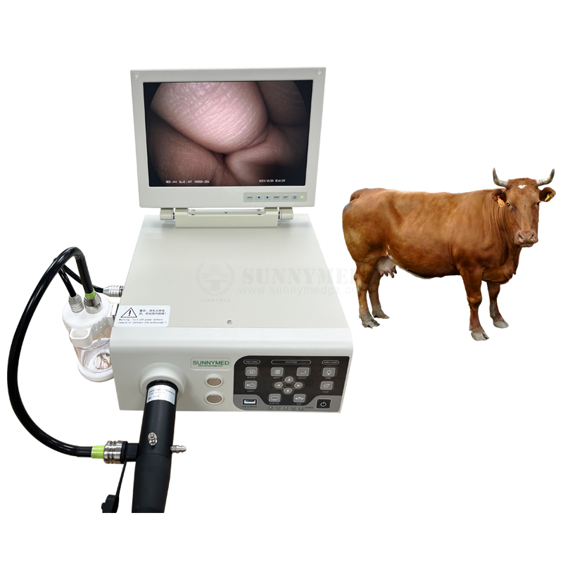 Sy-P033-2 Veterinary All-in-One Endoscope Processor Rigid and Flexible Endoscopy