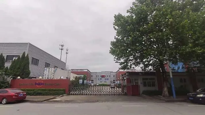 Earloop Mask Details