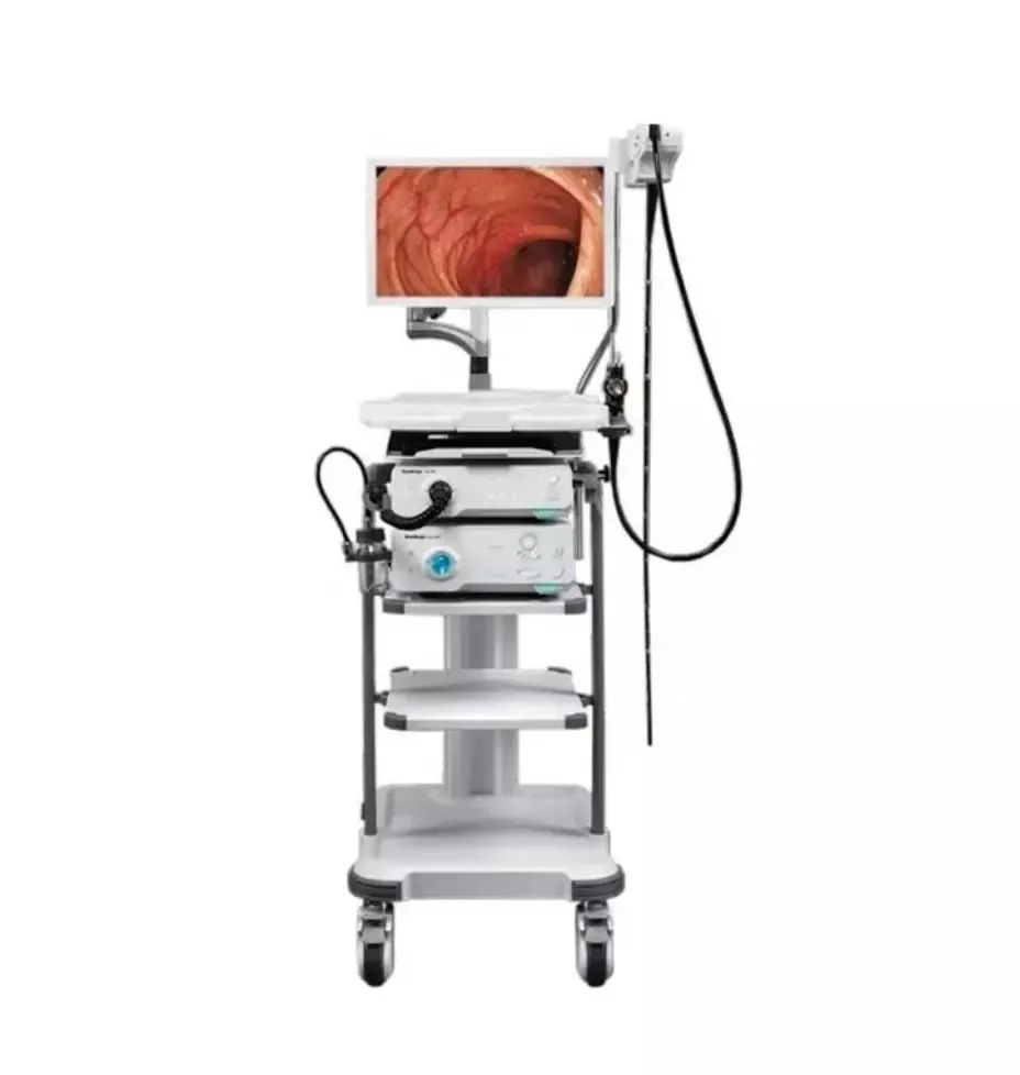 HD-350 Endoscopy System