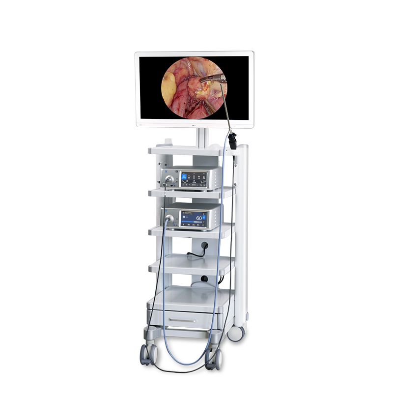 Profession Medical Video Endoscopy Camera and Endoscopy Ent Laparoscopy Hysteroscopy Urology Imaging System