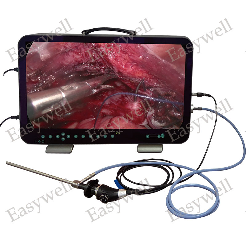 Medical Endoscope Imaging System Veterinary Endoscopy Camera E33