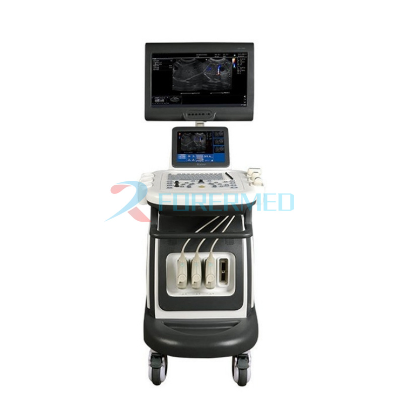 15 HD Color Doppler Main Screen 3D/4D Imaging Technology Trolley Color Ultrasound