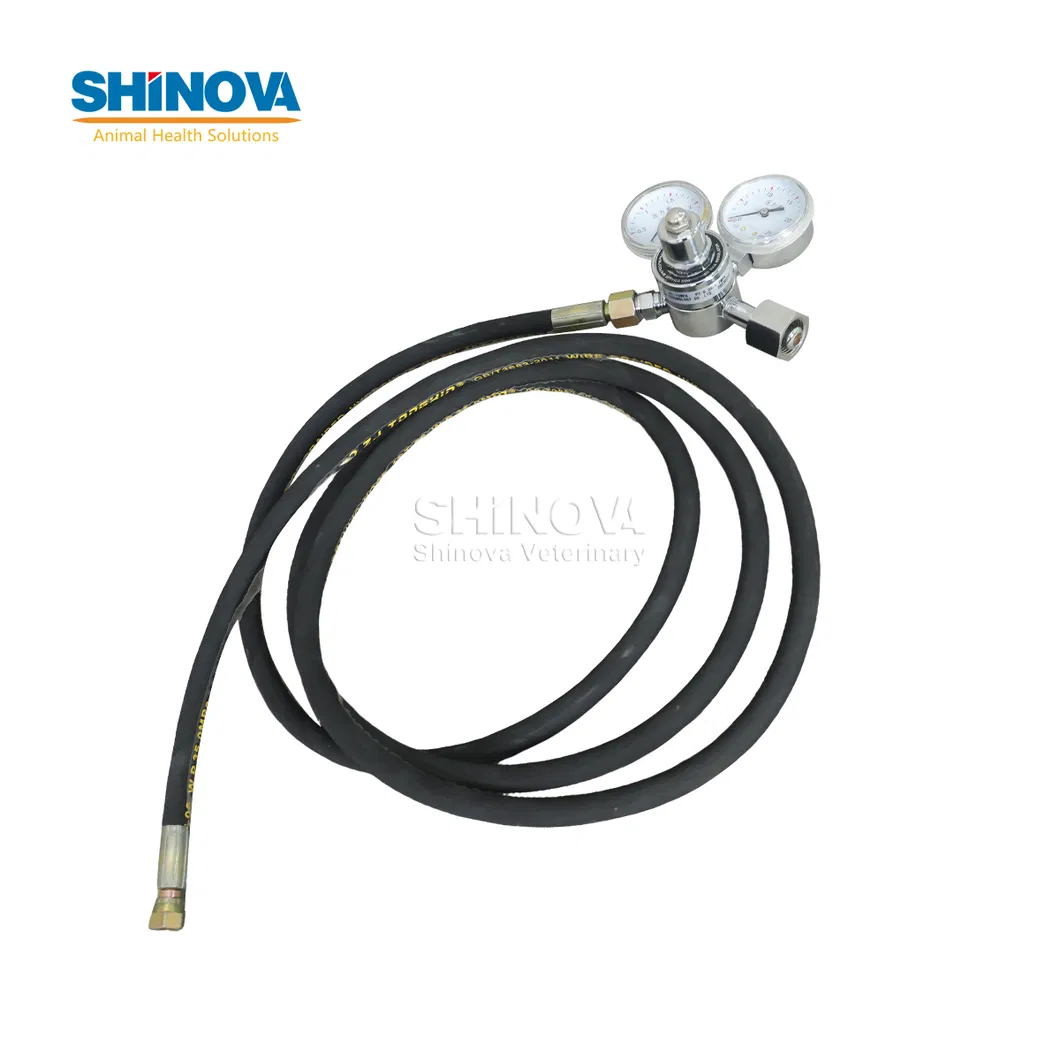 Veterinary CO2 Insufflator View 9