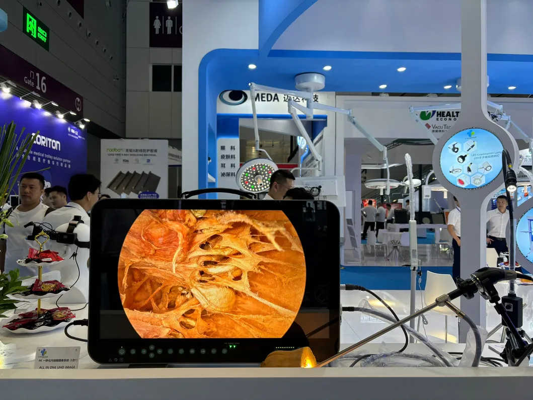 Clinical Application 2