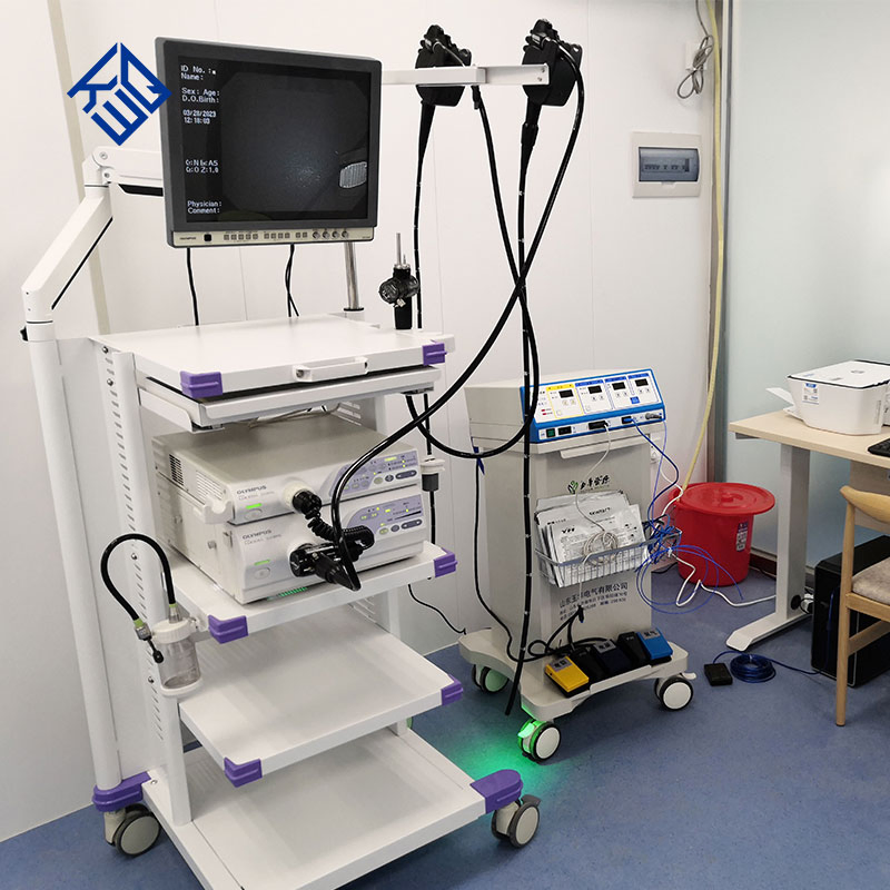 Medical Gastroscope and Colonoscope Video Gastroscope Endoscope Camera Endoscope System Gastrointestinal Endoscopy