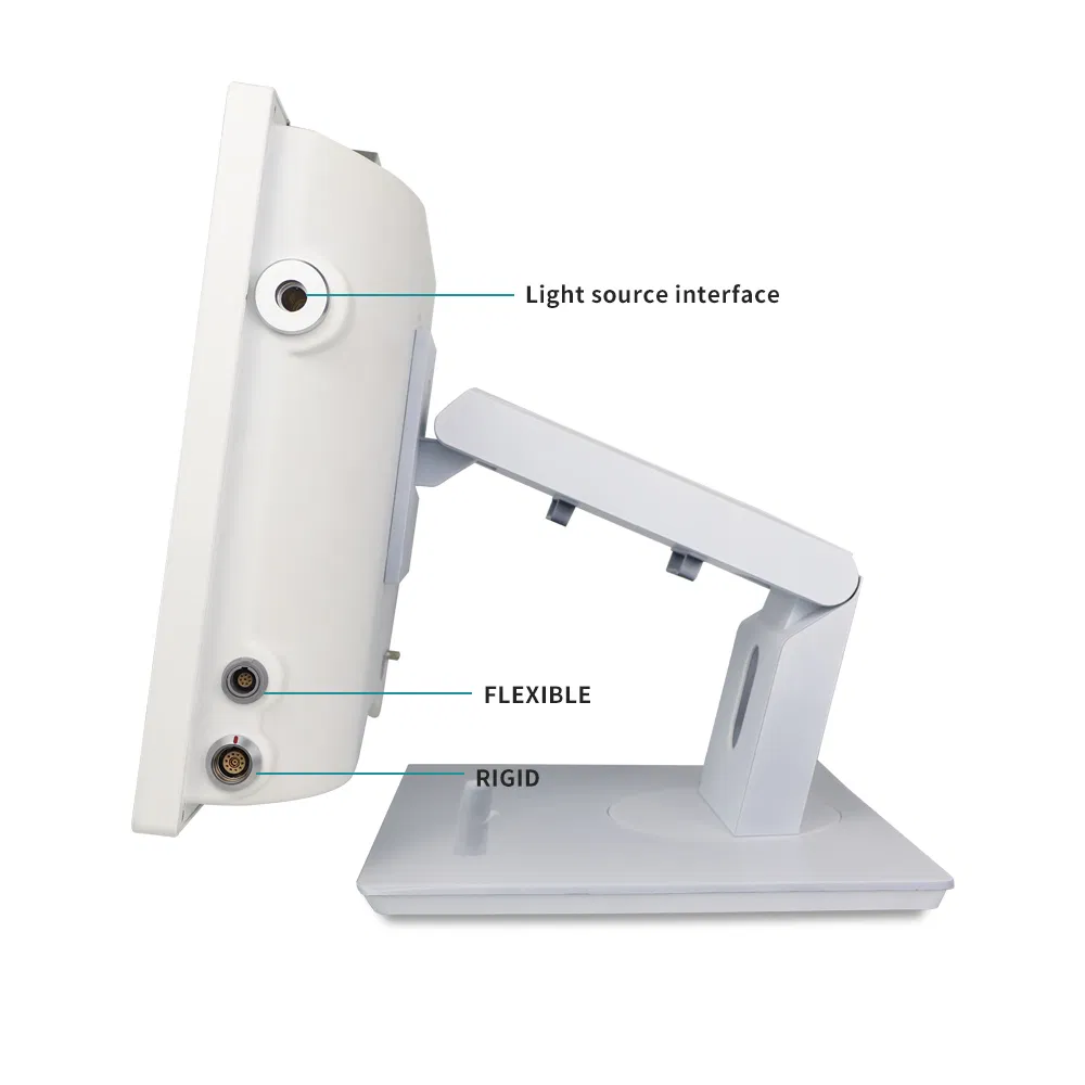 Good Quality FHD 15.6 Inch Medical Endoscopy Equipment Rigid &amp; Flexible Imaging System