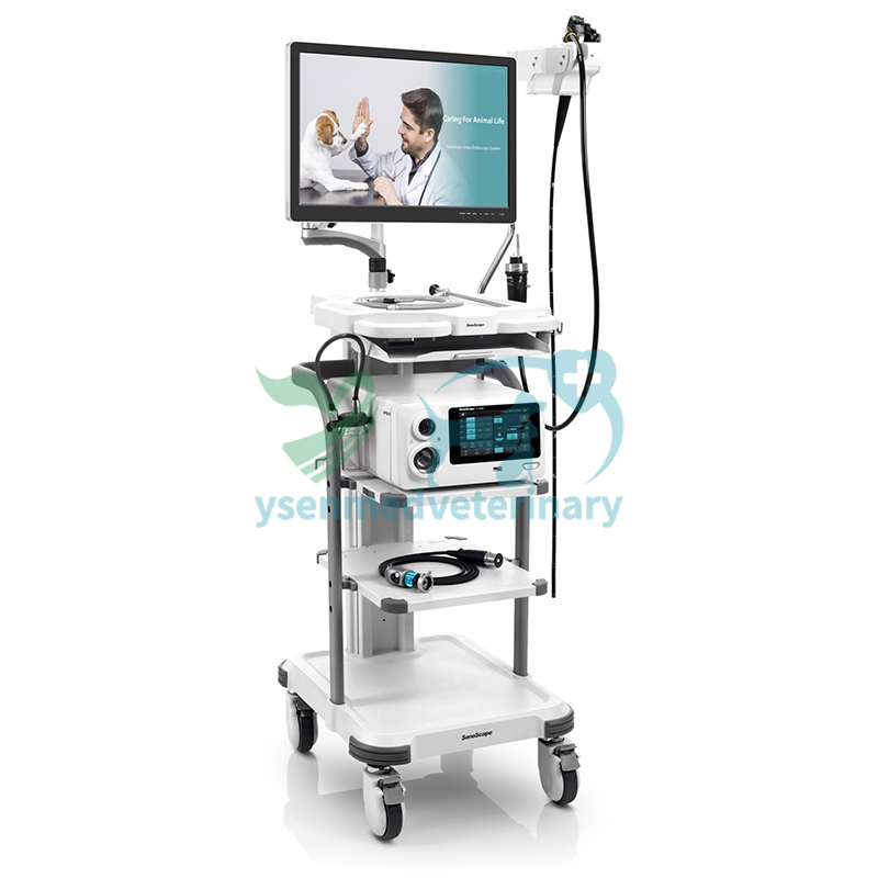 Sonoscape V-2000 Medical Equipment Veterinary Endoscopy System Device Endoscopy Equipments