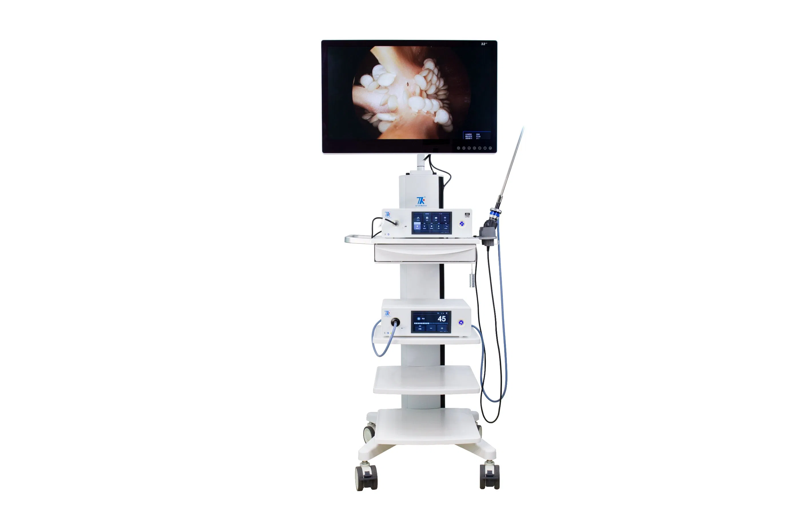 Hot Sale Flexible Endoscopy System Video Gastroscope Ent Camera System with Light Source