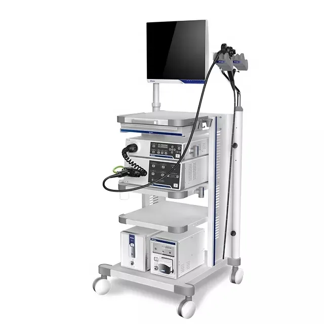 Endoscopy System AQ-100