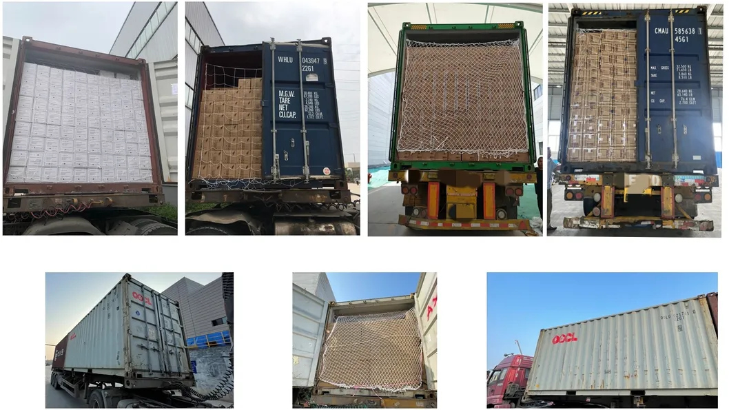 Shipping and Logistics