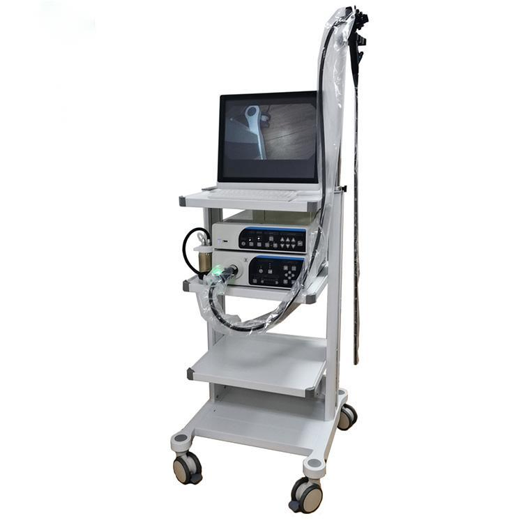 Medical Video Endoscopy Hospital Gastro Colonoscope Video Endoscope System Price