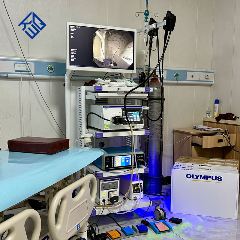 High Definition Electronic Gastrointestinal Video Endoscopy System
