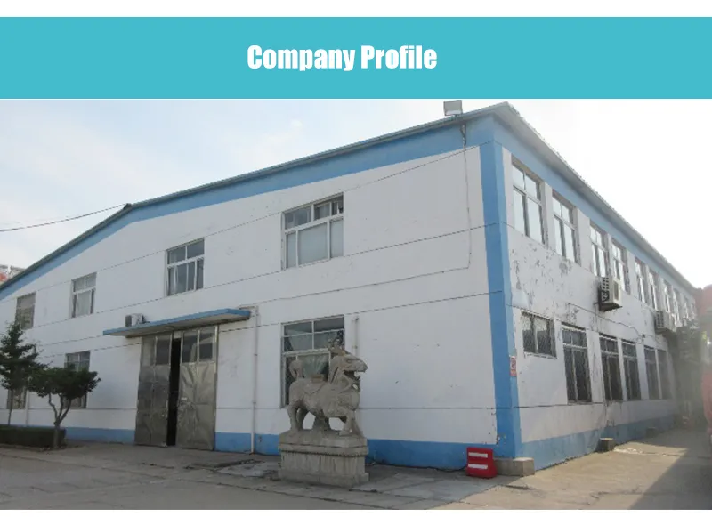 Disposable Protection Coverall 5