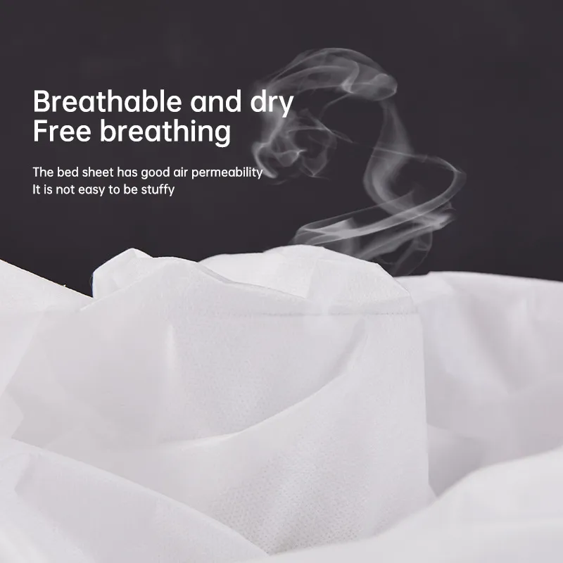 Disposable Bed Cover View 2