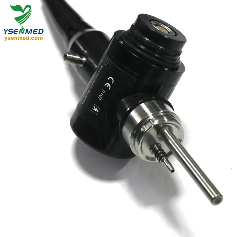 Endoscope System View 4