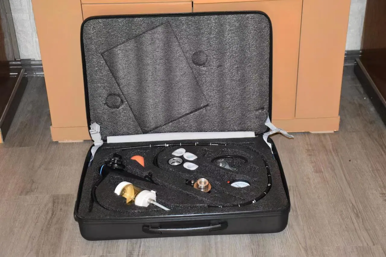 Geiwre Flexible Endoscopy Camera System for Medical