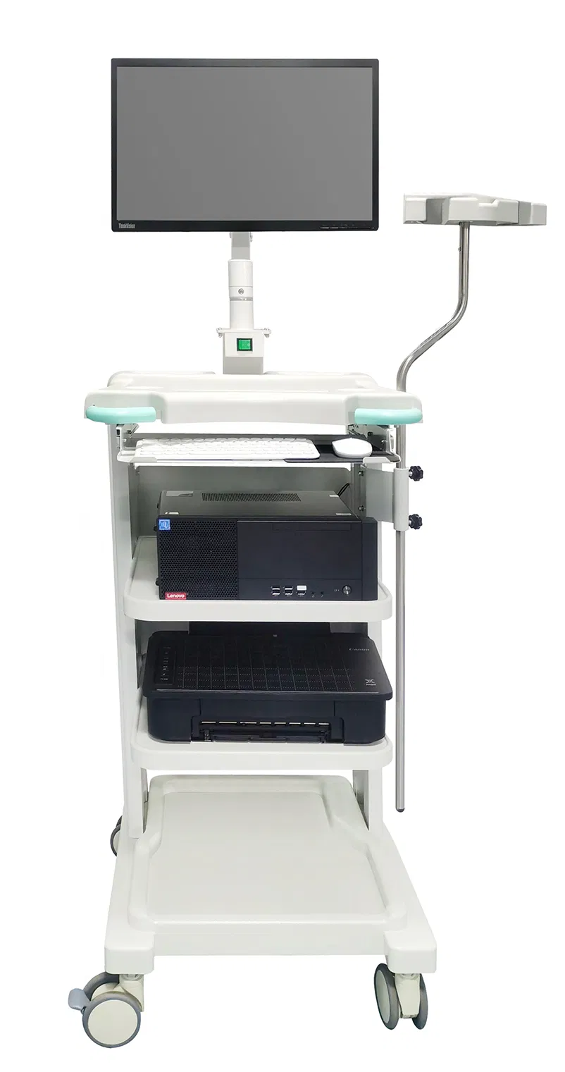 Portable Visual Electronic Bronchoscope Medical Device for Clinical Respiratory Department Emergency Diagnosis Use