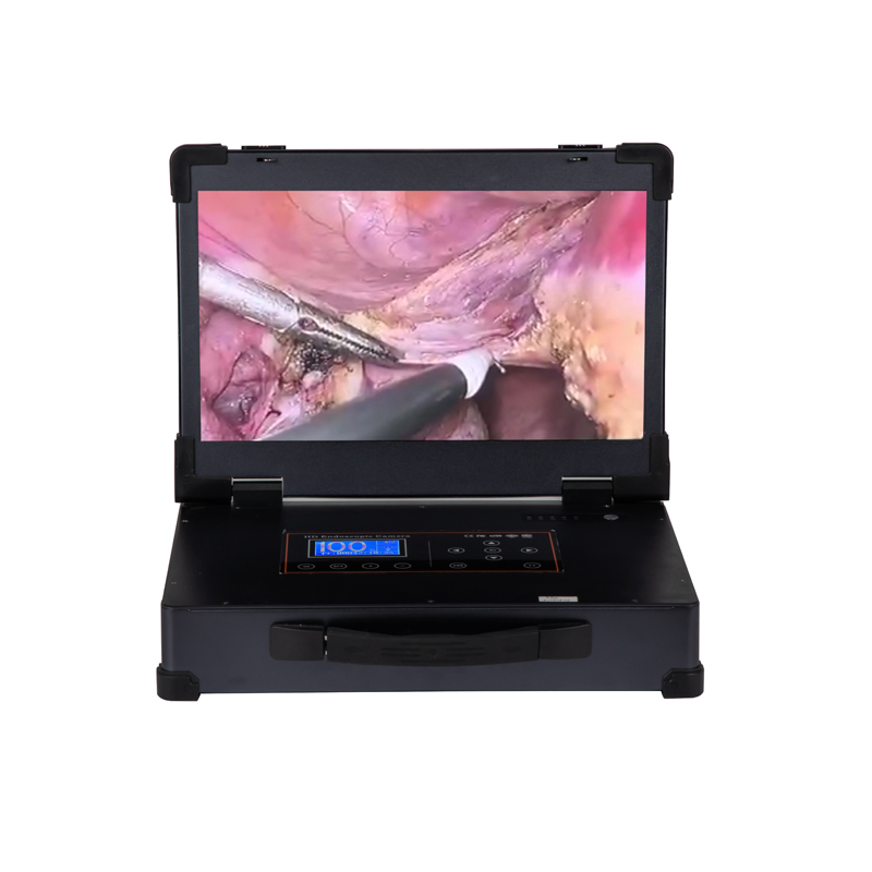 Geiwre Flexible Endoscopy Camera System for Medical