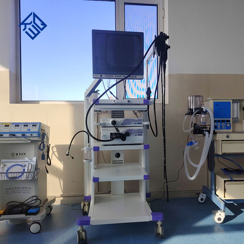 High Definition Electronic Gastrointestinal Video Endoscopy System