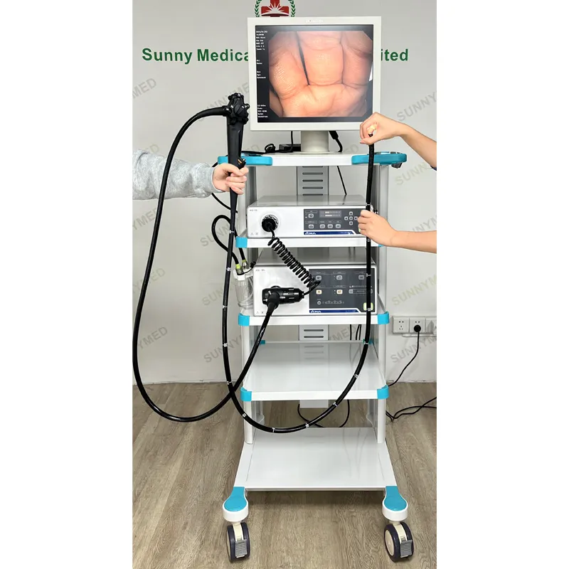 Endoscopy System Overview