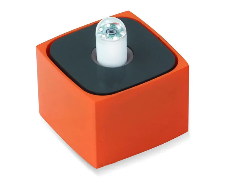 Small Bowl Disease Screening