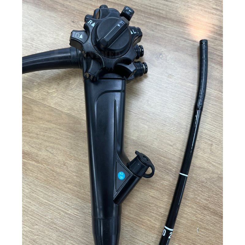 Sy-P033-1 Portable Video Endoscope Bronchoscope Gastroscope Colonoscope Ureteroscopy for Veterinary Pet Endoscopy