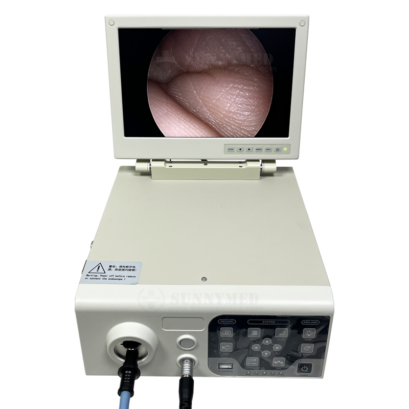 Sy-P033-2 Both Rigid and Flexible Endoscopy Camera System for Human and Animals