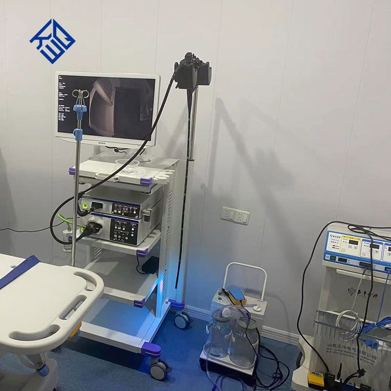 High Definition Electronic Gastrointestinal Video Endoscopy System