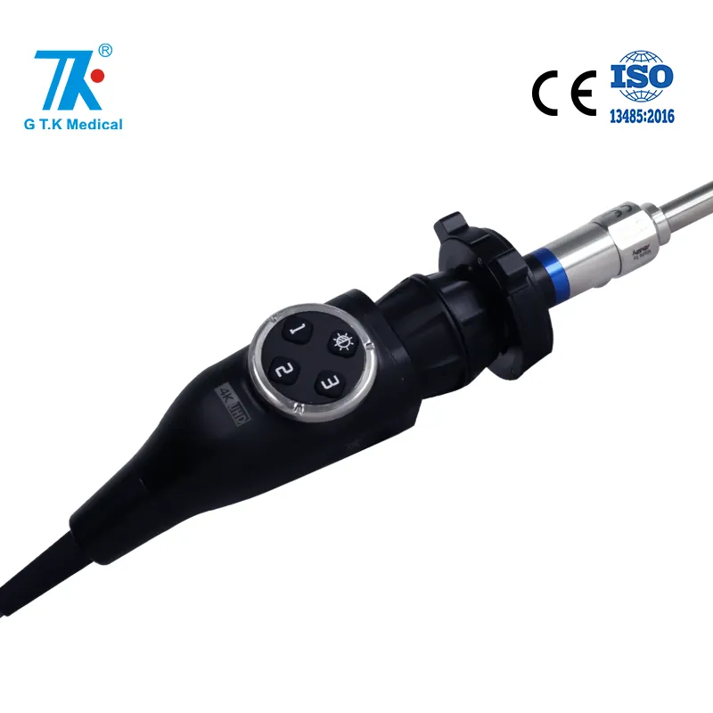 Endoscope Lens