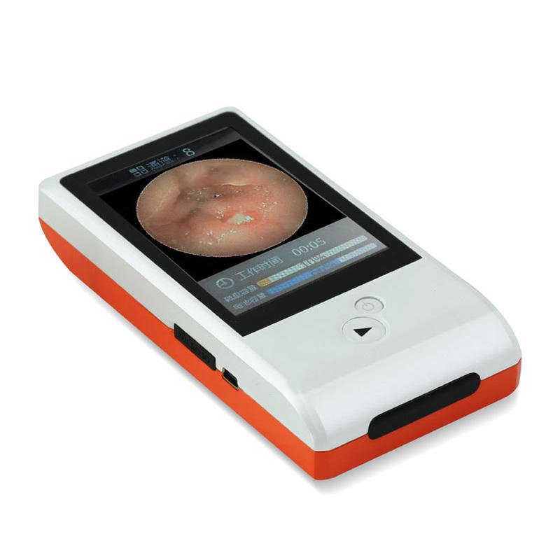 Medical Portable Capsule Endoscopy Systems for Diagnosis and Screening Small bowl Disease