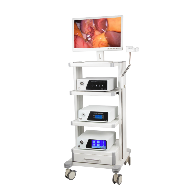 Diagnostic Spinal Video Endoscope Endoscopy Instrument Imaging System for Surgery Examination