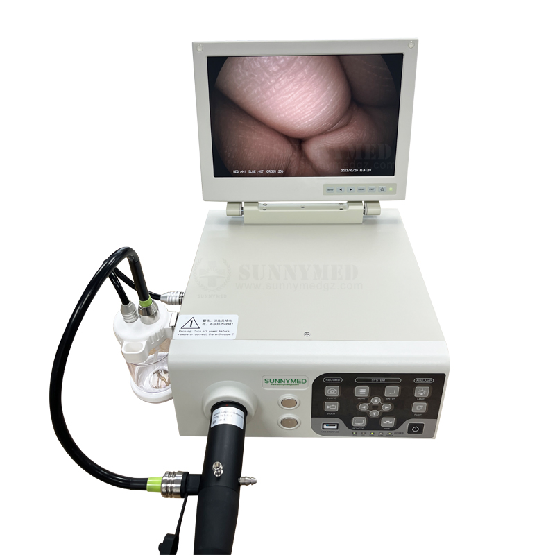Sy-P033-1 Veterinary Endoscopy Portable Digital Video Gastroscope and Colonoscope