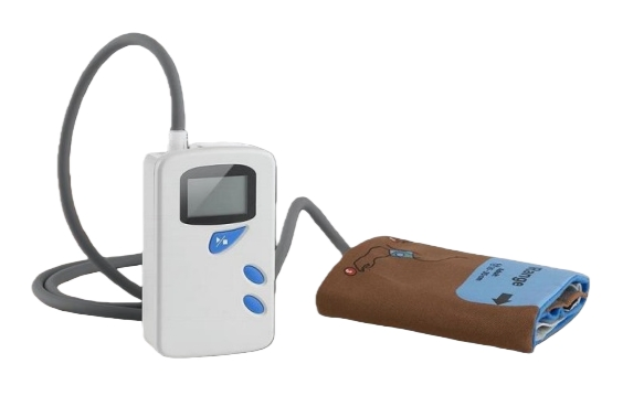 Comprehensive All-Day Blood Pressure Monitoring Device for Clinics