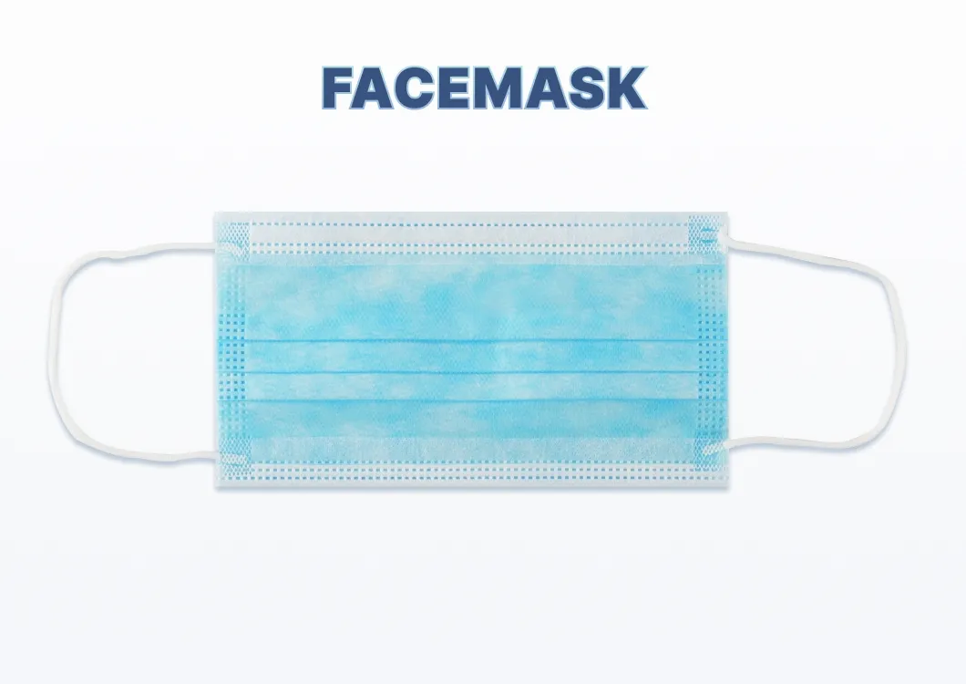 Face Mask Detail 1