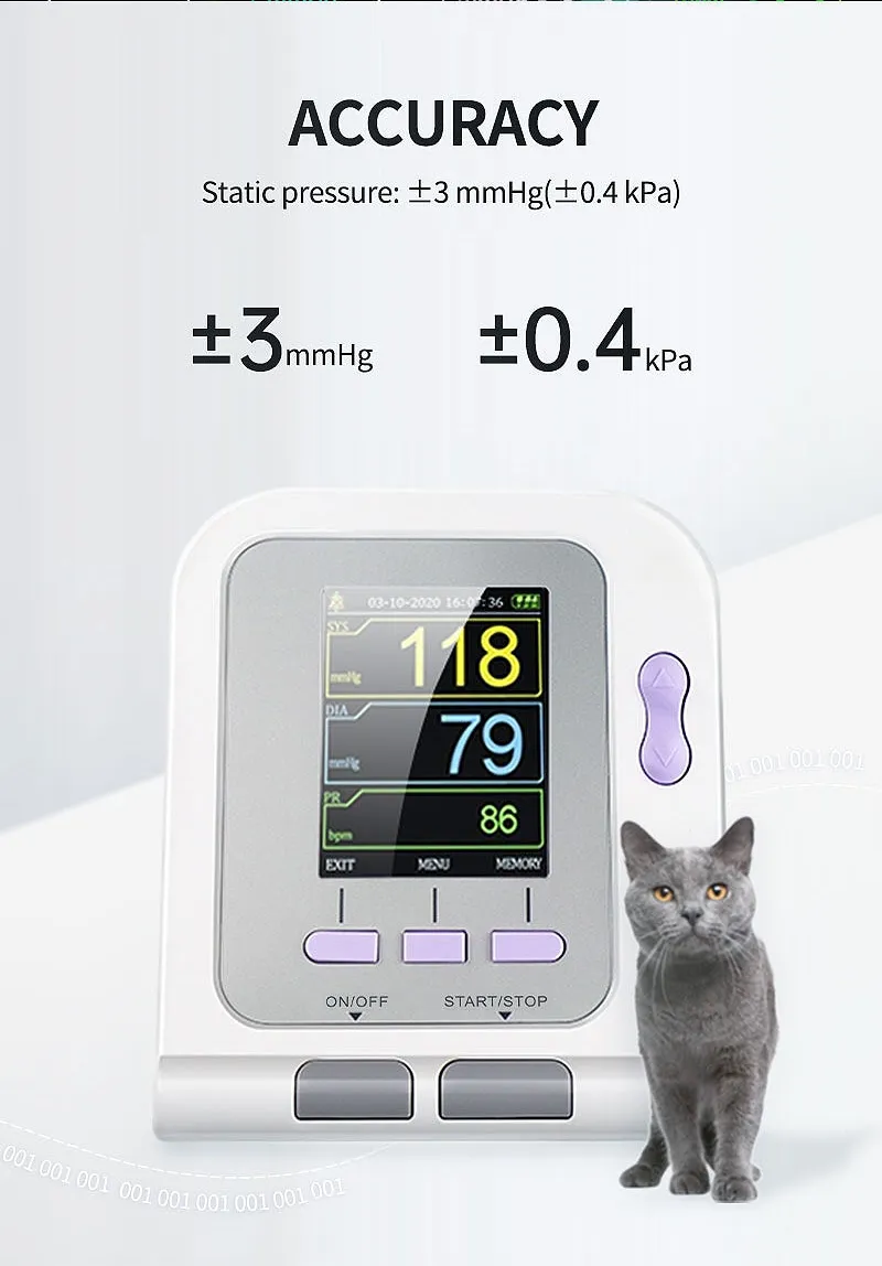 Animal Application 2