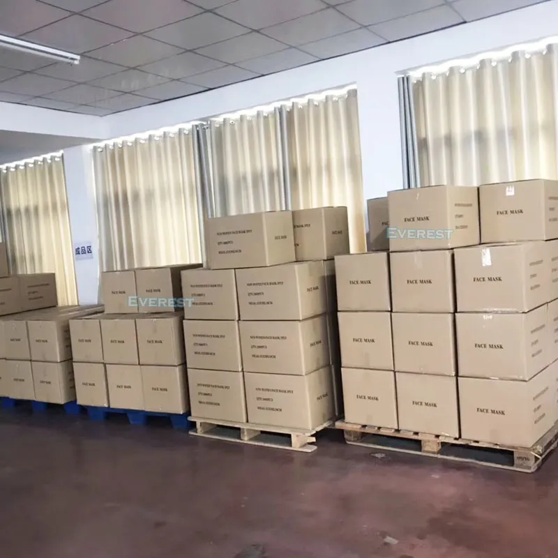 Protective Face Mask