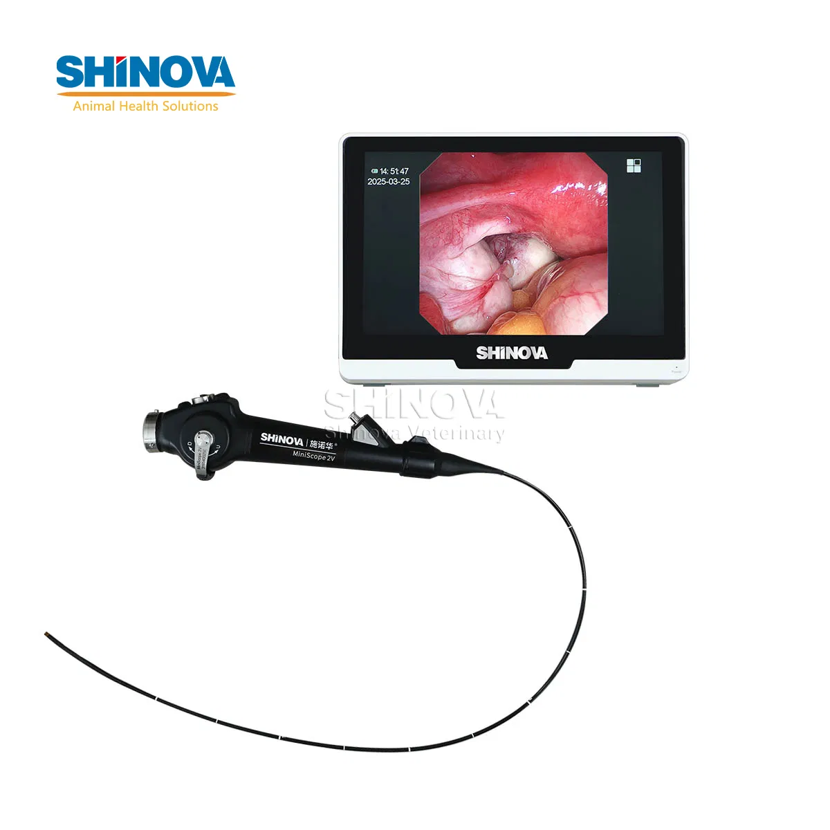 Portable Veterinary Video Endoscope System