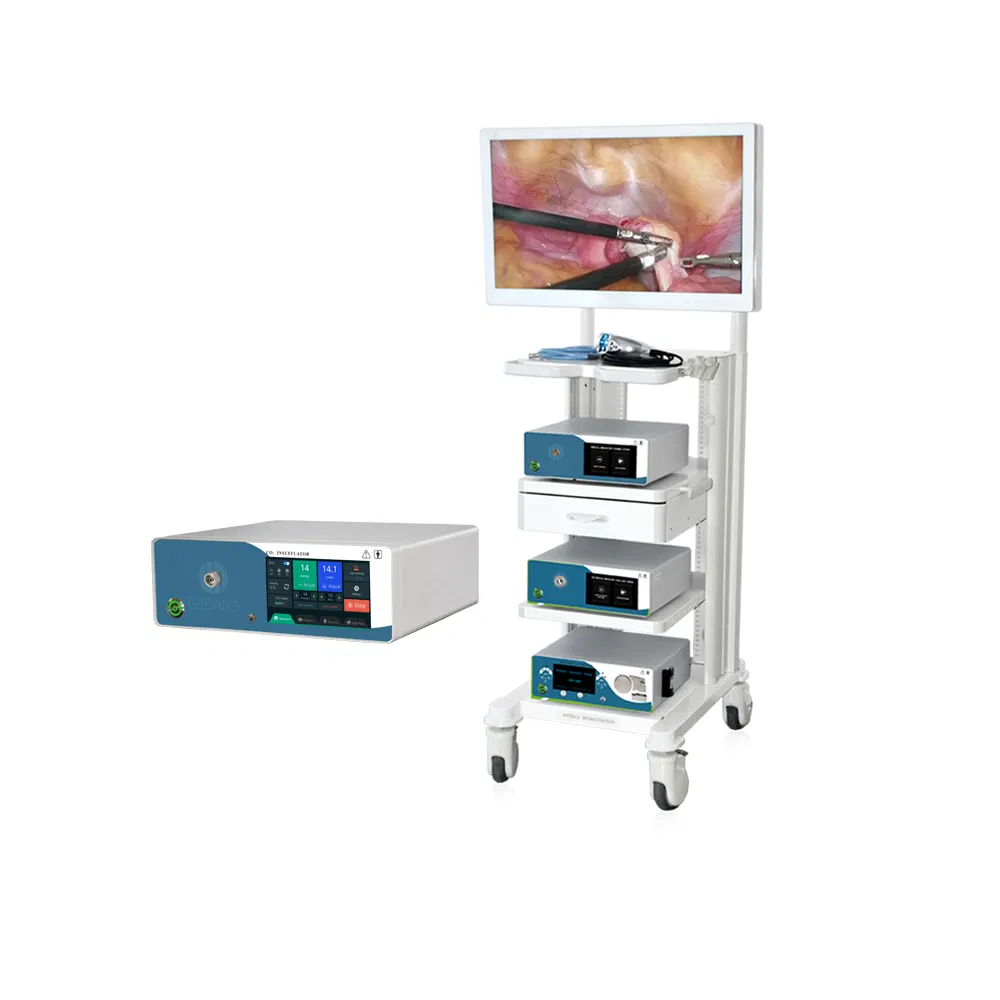 Veterinary Clinic Medical Gastroscope Colonoscope Camera Endoscope Machine Gastroscope Video Endoscope System