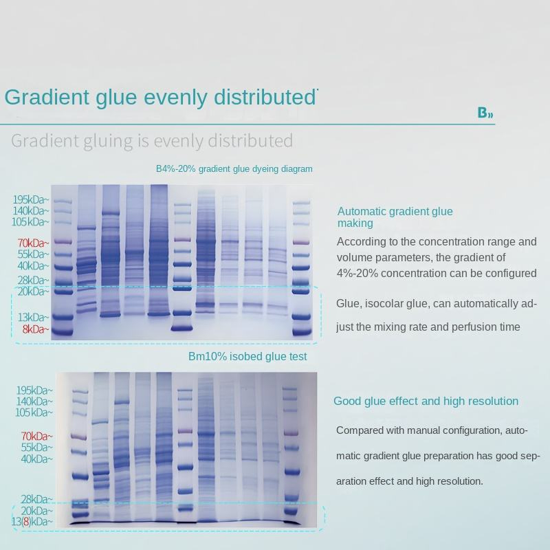 Automatic Glue-Making Device for Biological Laboratory with One-Key System