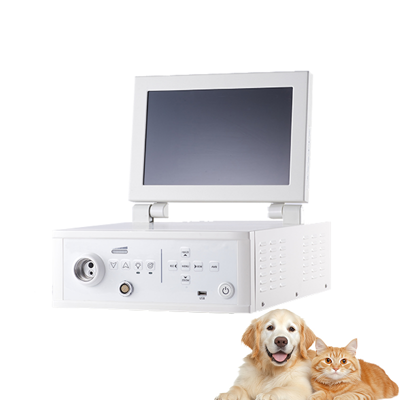 Gastroscope Colonoscope Set All-in-One Veterinary Endoscope with Video Center Display Scope Series and Grasping Forceps