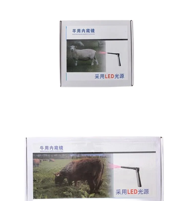 Veterinary Endoscope