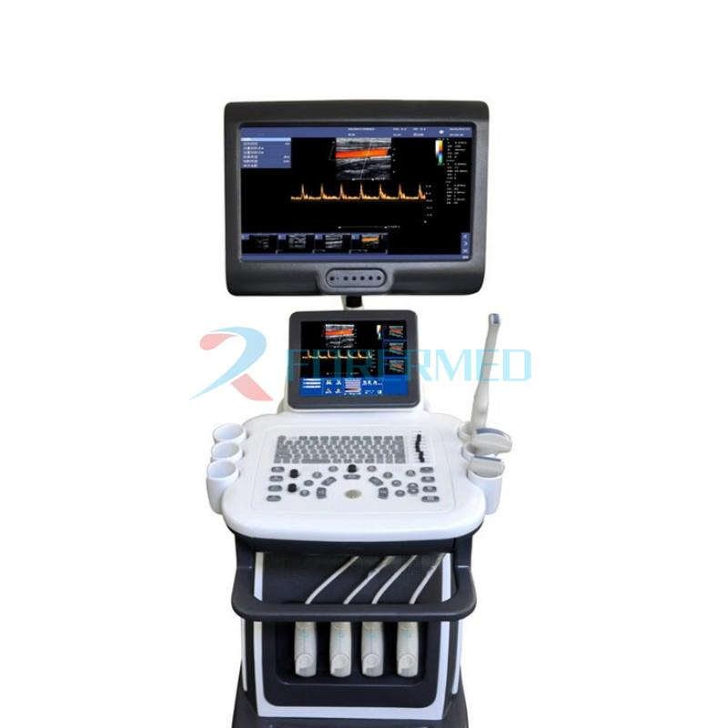 15 HD Color Doppler Main Screen 3D/4D Imaging Technology Trolley Color Ultrasound